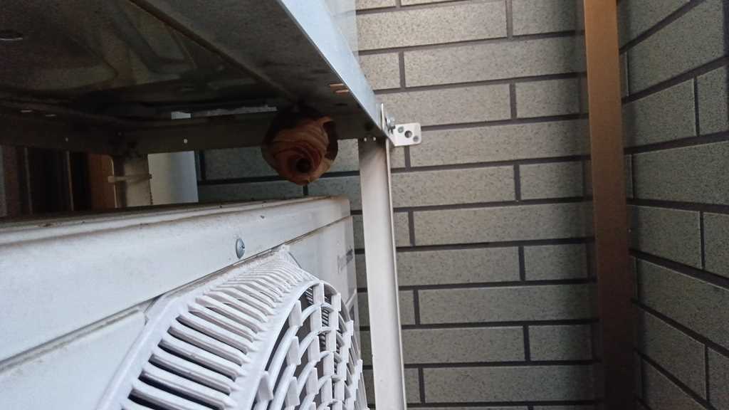 室外機の隙間から約50分で安全に撤去された約15cmのスズメバチの巣