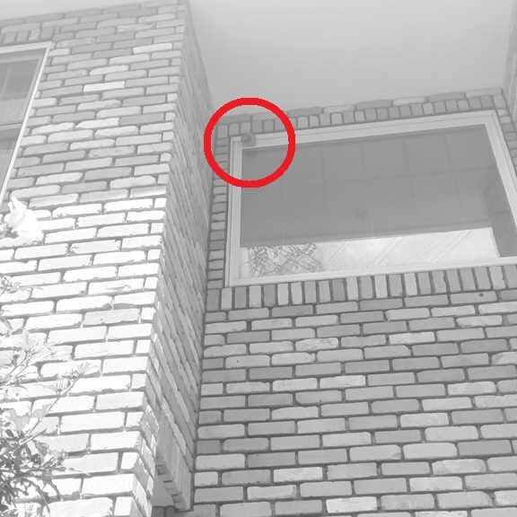 横浜市鶴見区北寺尾のお宅の2階窓枠サッシに作られた約15cmのスズメバチの巣