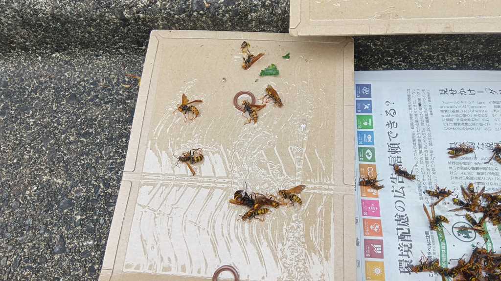 撤去作業が完了